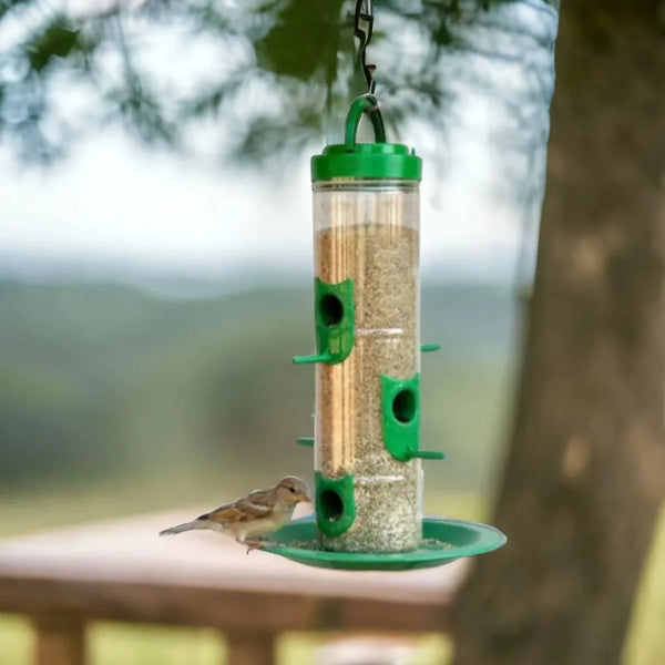 Bird Feeder