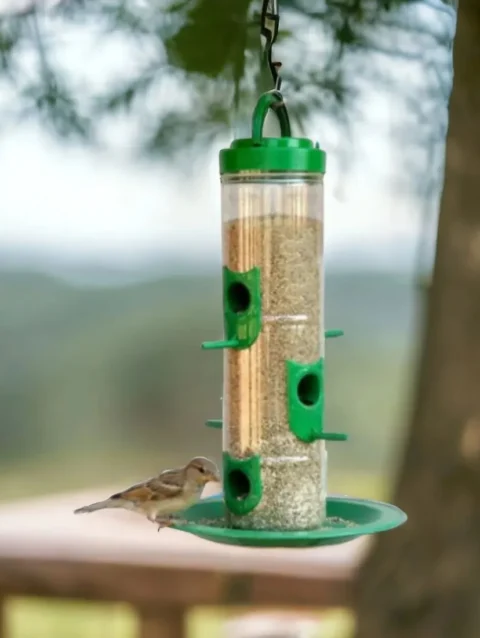 Bird Feeder